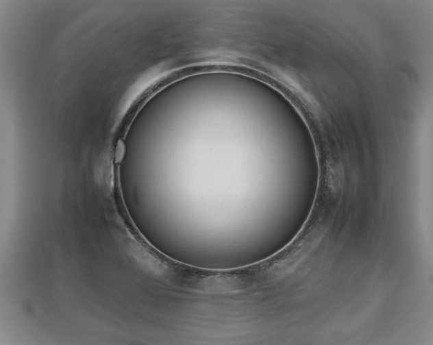 X0000112791368200908281457