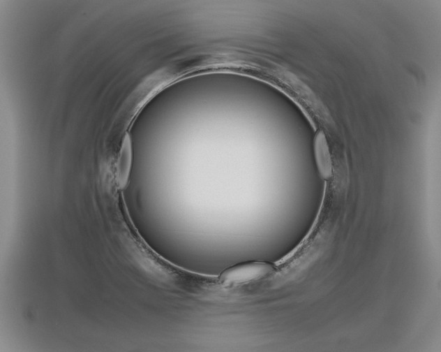 X0000112791369200908281457