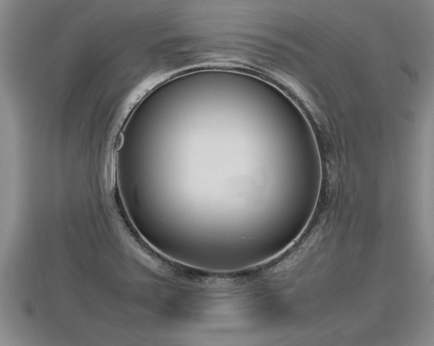 X0000112791371200908281457