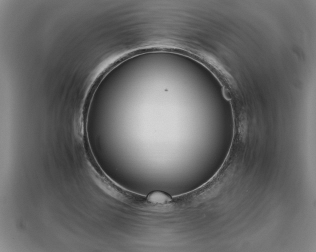 X0000112791372200908281457