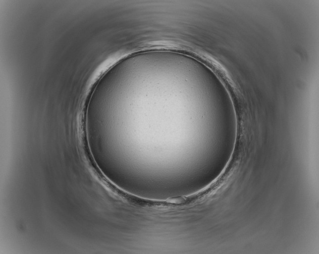 X0000112791373200908281457