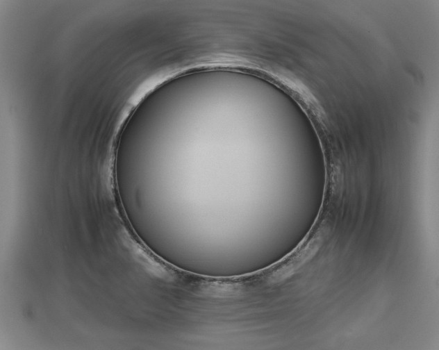 X0000112791374200908281457