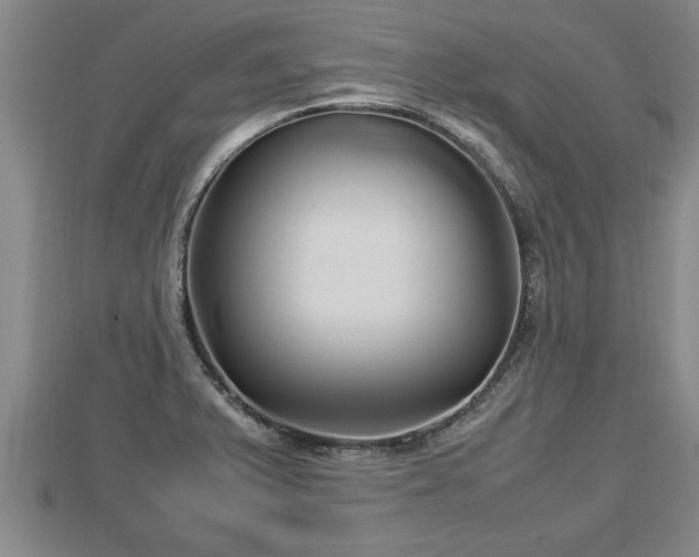 X0000112791375200908281457