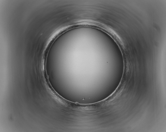 X0000112791376200908281457