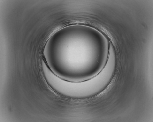 X0000112791377200908281457