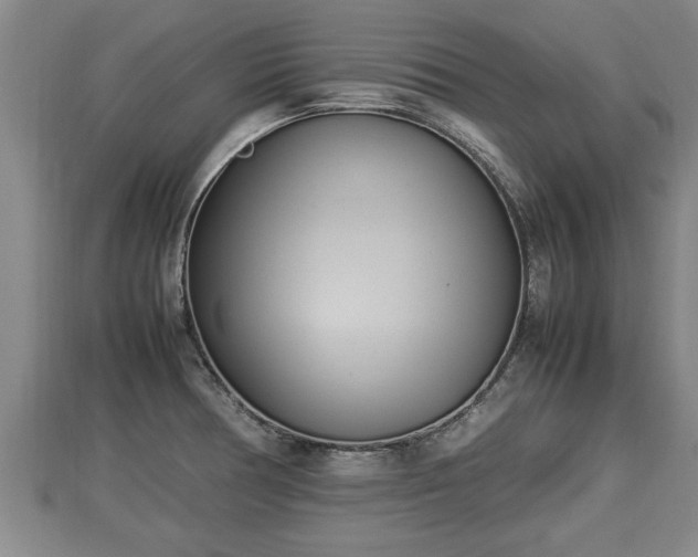 X0000112791378200908281457