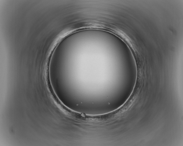 X0000112791379200908281457