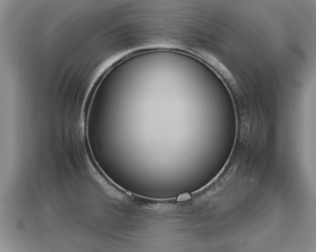 X0000112791380200908281457