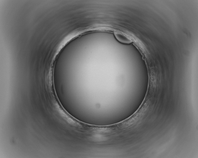 X0000112791382200908281457