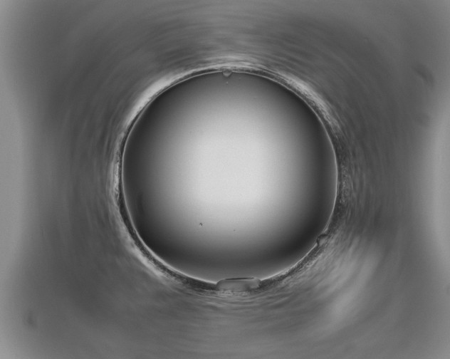 X0000112791383200908281457