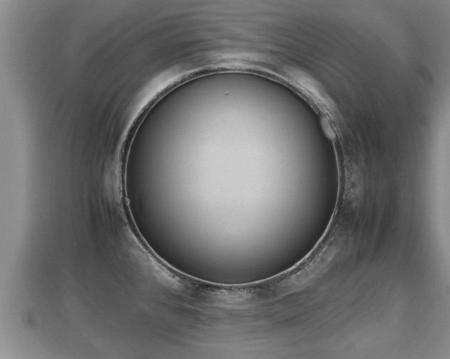 X0000112791384200908281457