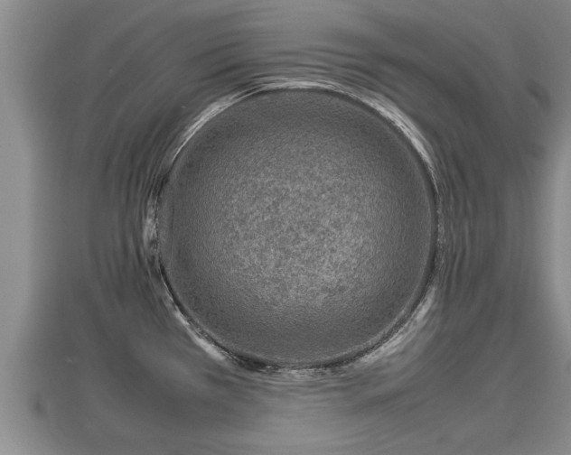 X0000112791385200908281457