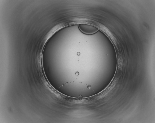 X0000112791386200908281457