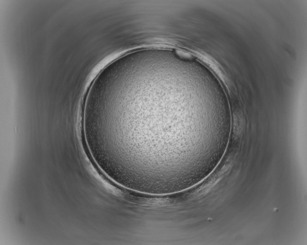 X0000112791387200908281457