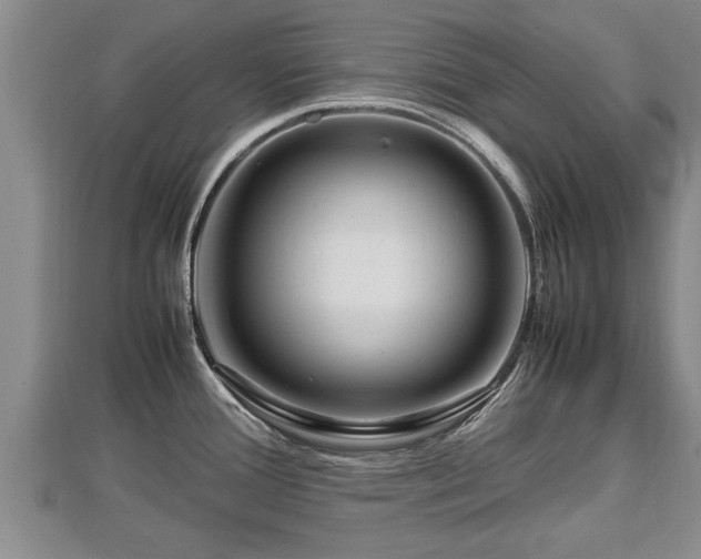 X0000112791388200908281457