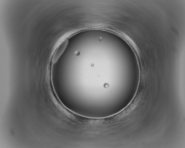 X0000112791389200908281457