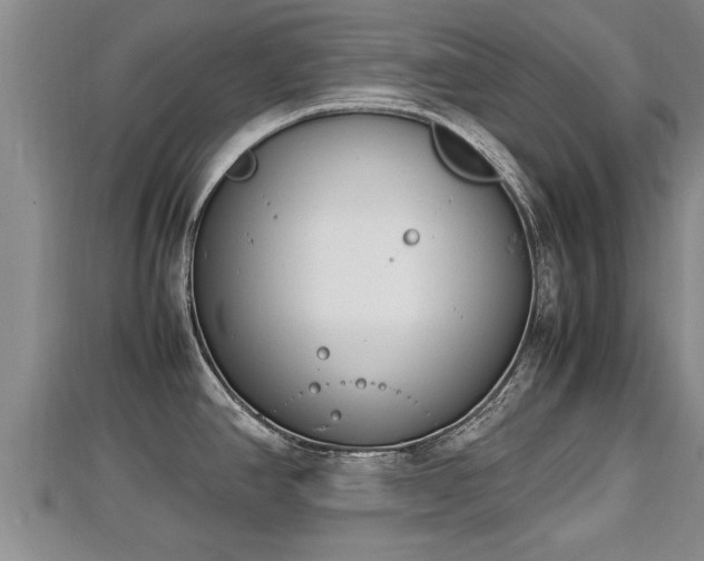 X0000112791390200908281457