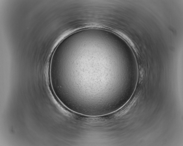 X0000112791391200908281457