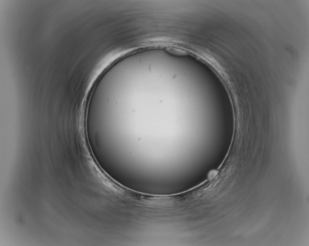 X0000112791392200908281457