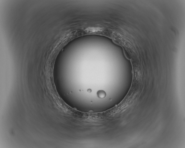 X0000112791393200908281456