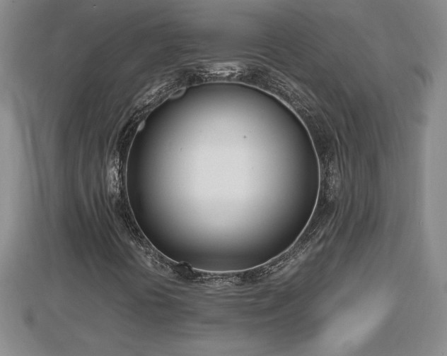 X0000112791394200908281456