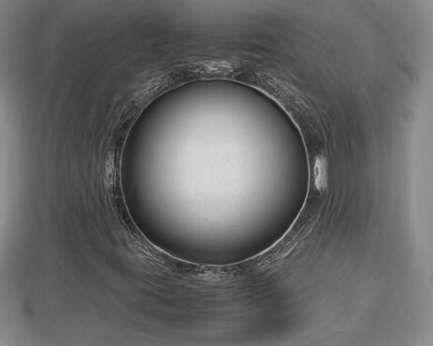 X0000112791395200908281456