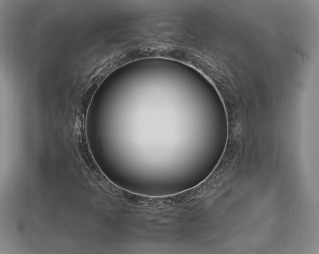 X0000112791397200908281456