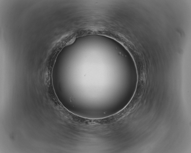 X0000112791398200908281456