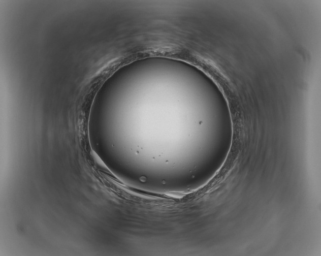 X0000112791399200908281456