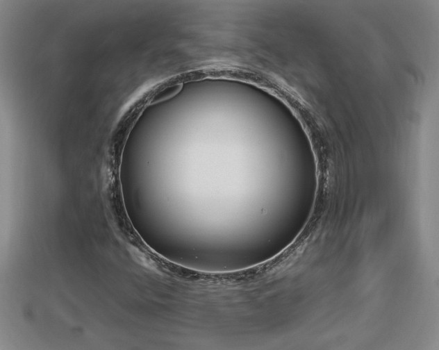 X0000112791400200908281456