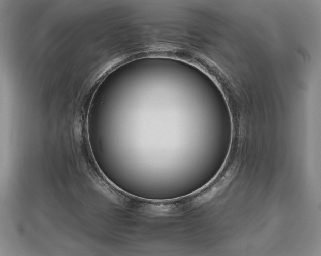 X0000112791401200908281456