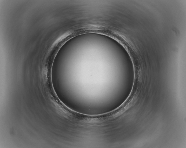 X0000112791402200908281456