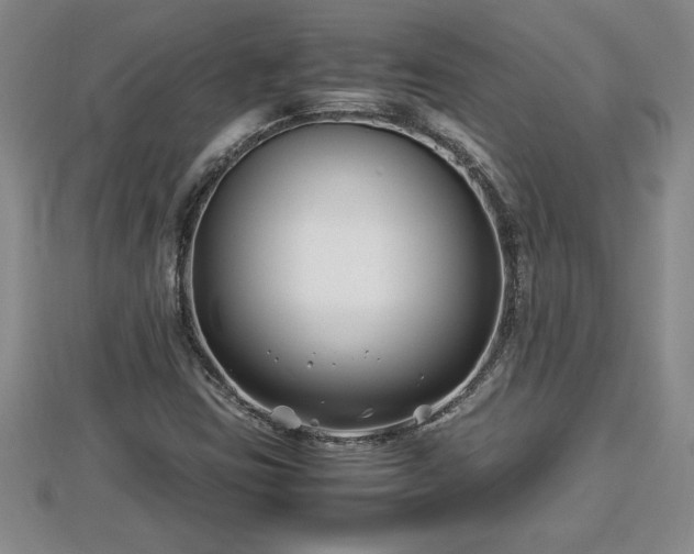 X0000112791403200908281456