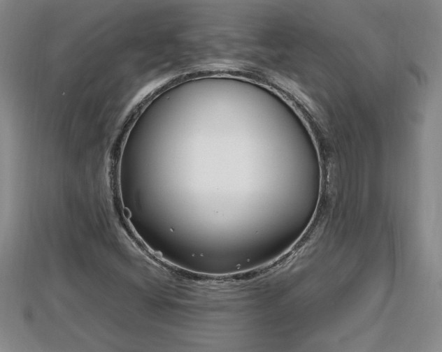 X0000112791404200908281456