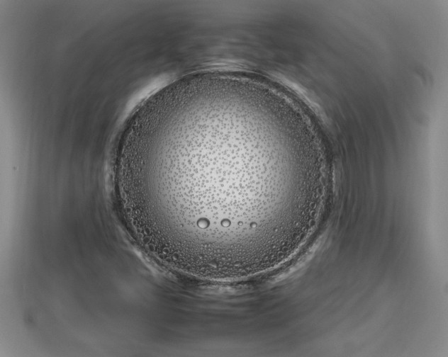 X0000112791405200908281456