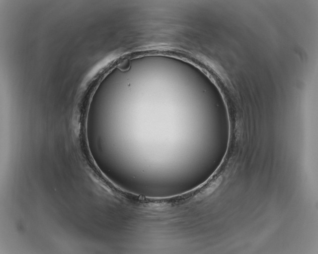 X0000112791406200908281456