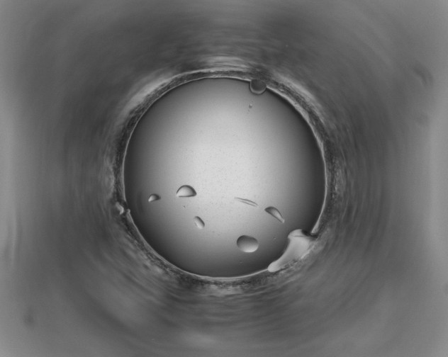 X0000112791407200908281456