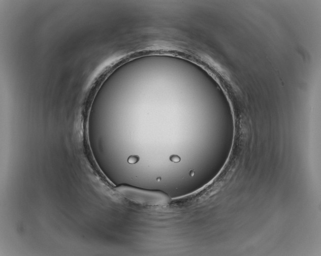 X0000112791408200908281456