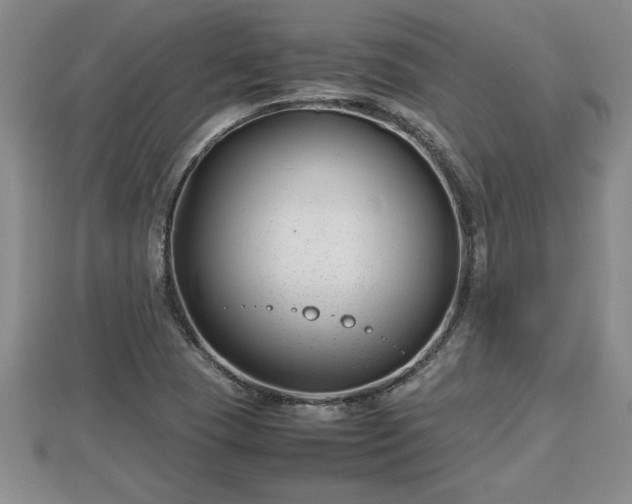 X0000112791409200908281456