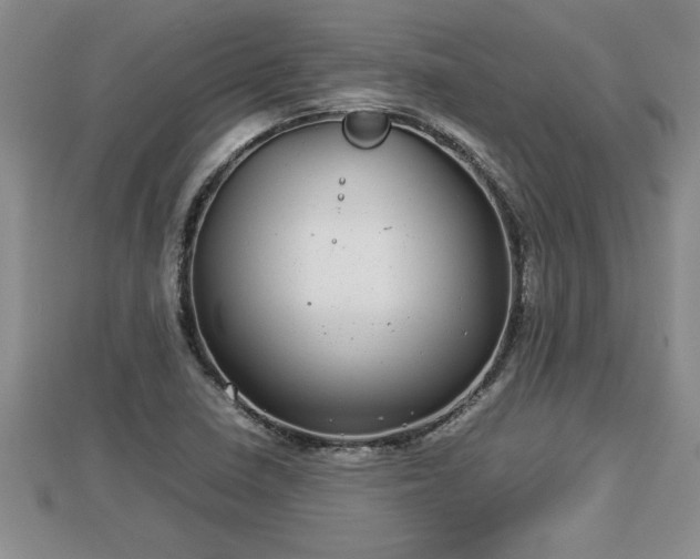 X0000112791410200908281456