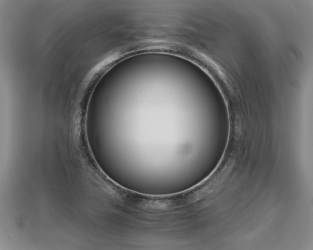 X0000112791411200908281456