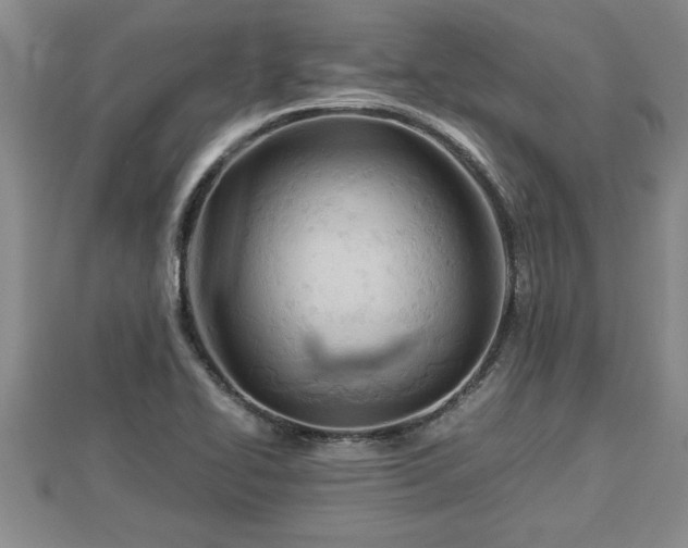 X0000112791414200908281456