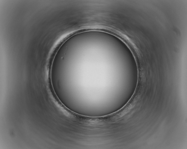 X0000112791416200908281456