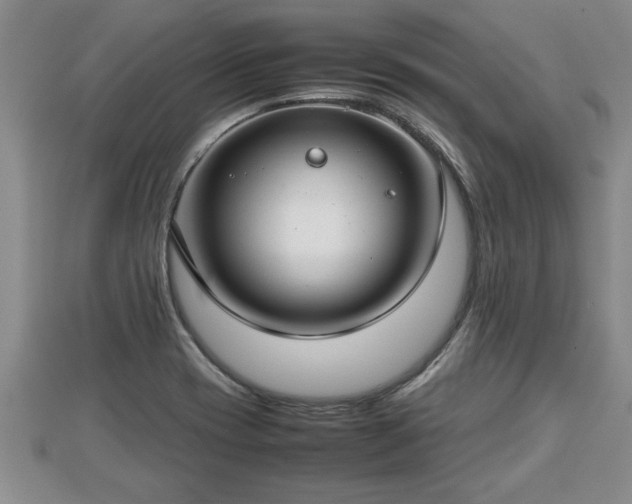 X0000112791417200908281456