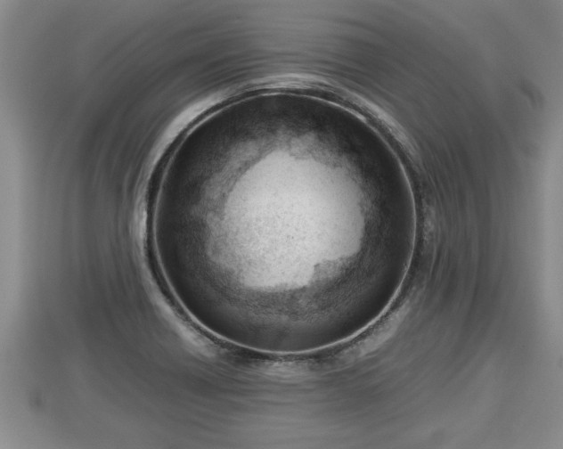 X0000112791418200908281456