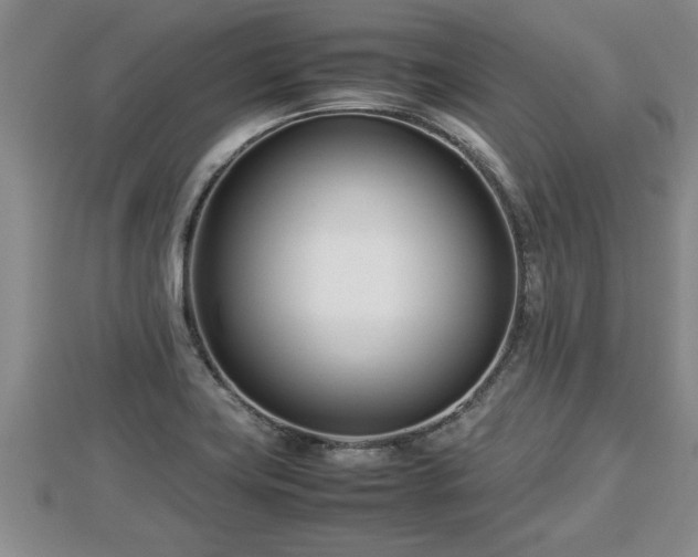 X0000112791419200908281456