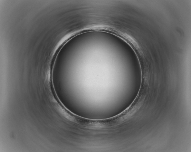 X0000112791420200908281456