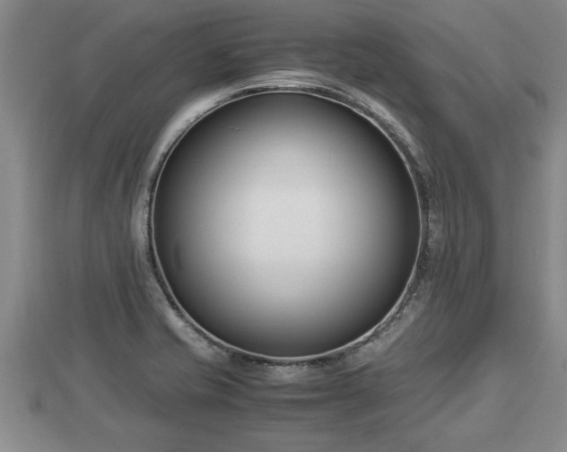 X0000112791421200908281456