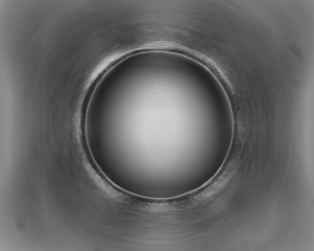 X0000112791422200908281457