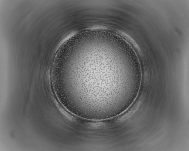 X0000112791425200908281457